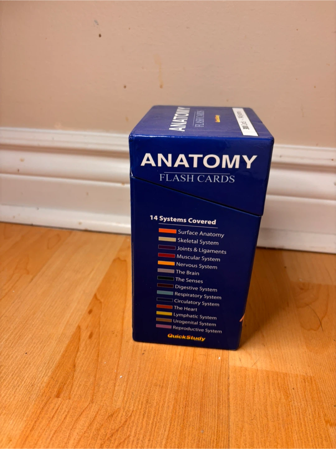 QuickStudy Anatomy Flash Cards – MCAT, Nursing, Kinesiology - photo 2