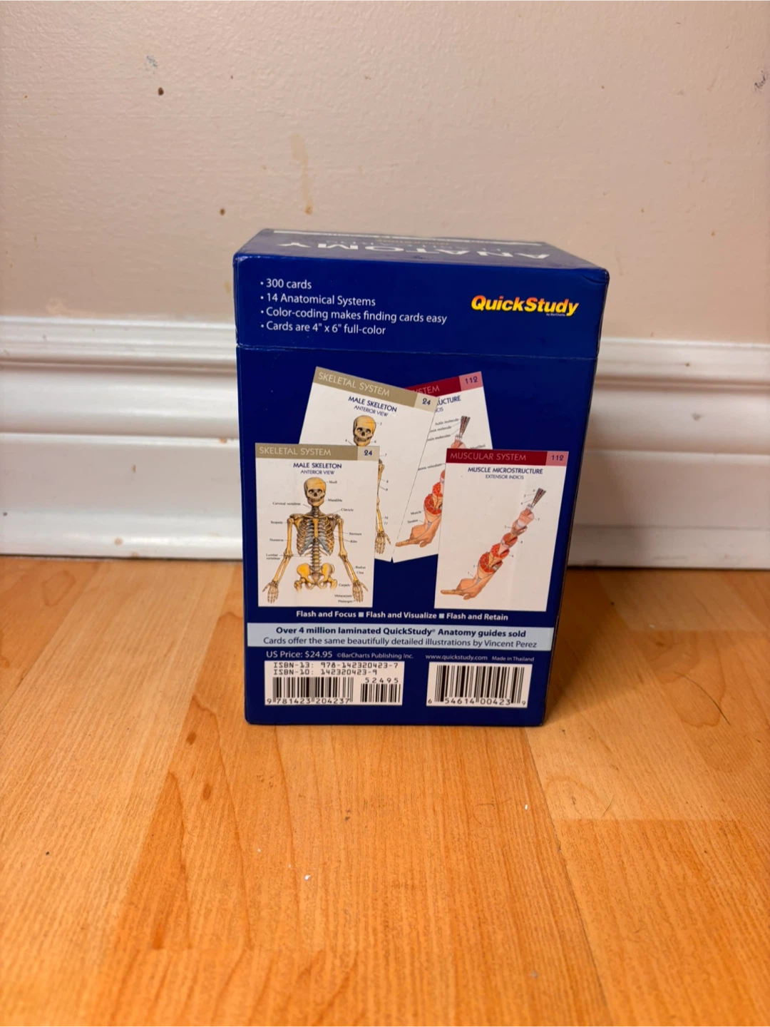 QuickStudy Anatomy Flash Cards – MCAT, Nursing, Kinesiology - photo 3