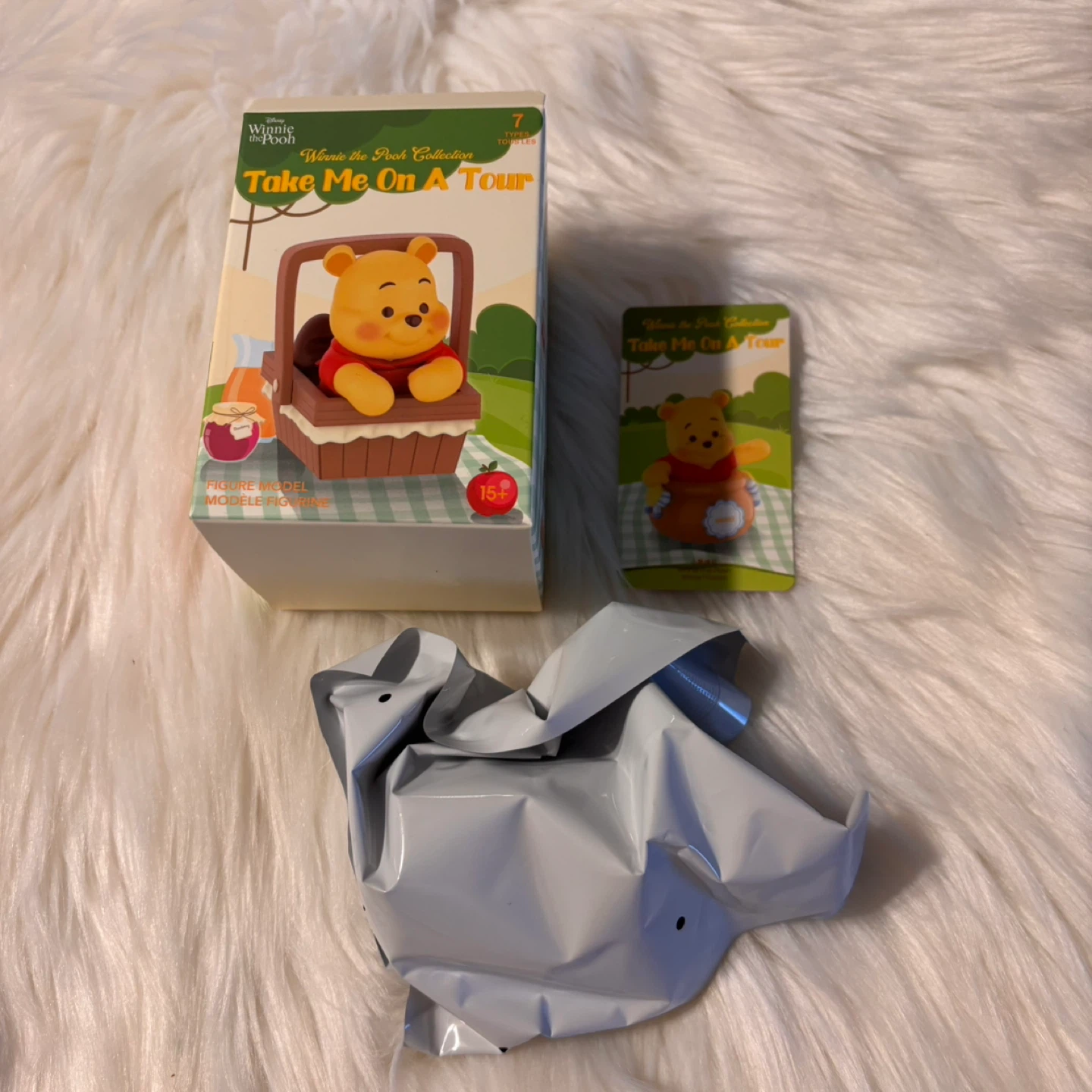Disney Winnie the Pooh Take Me On A Tour Figure