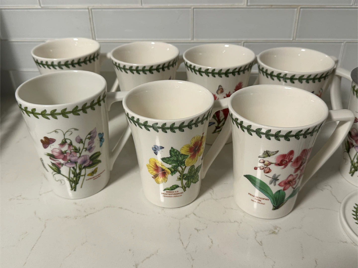Portmeirion Botanic Garden Mugs (Set of 7)