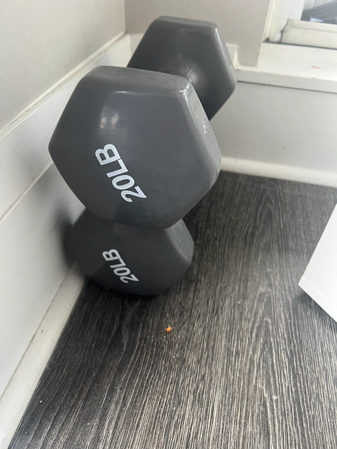 20 LB Dumbbell Weights