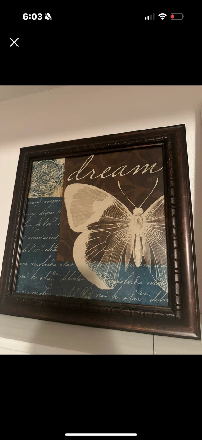 Framed Butterfly Dream Art🧡