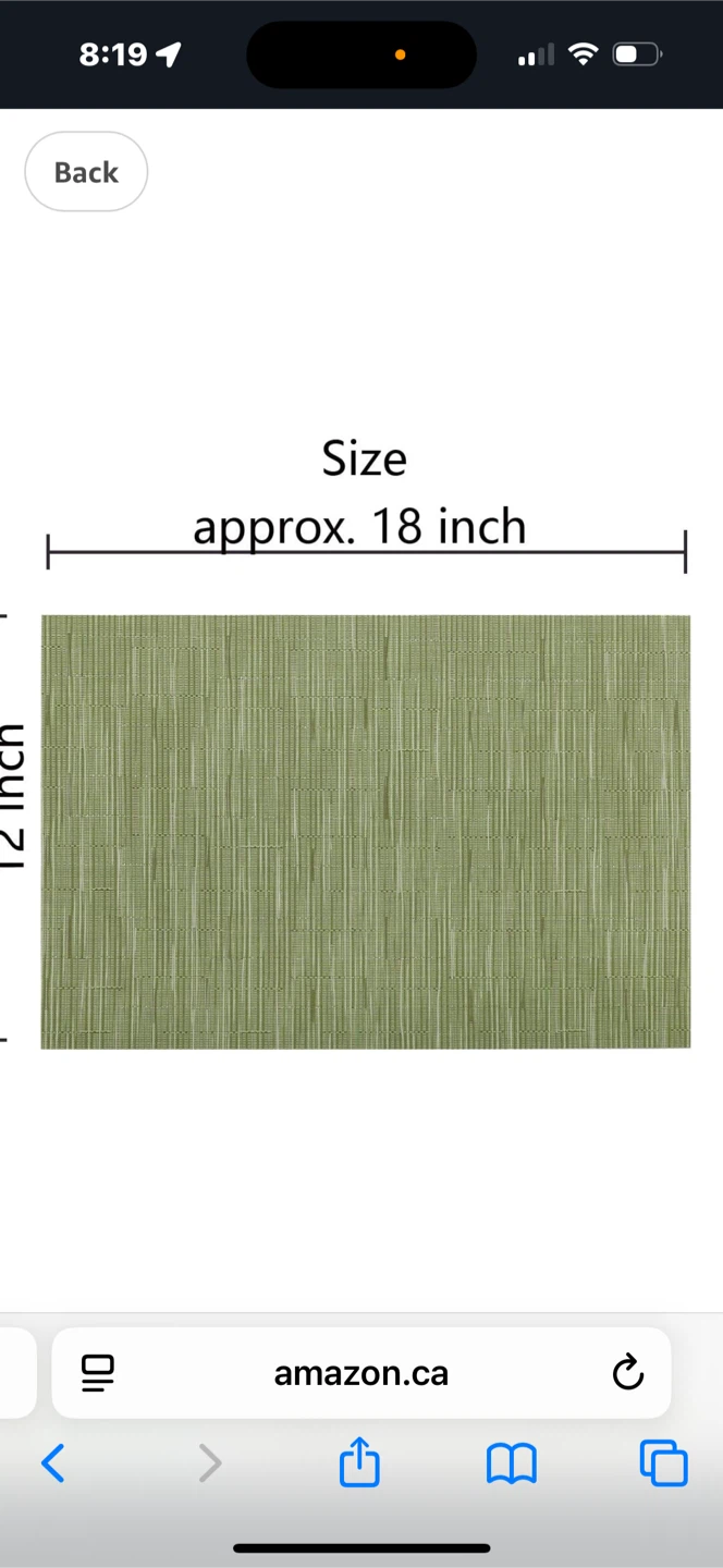 4 Green dining Placemat - 18 x 12 inches