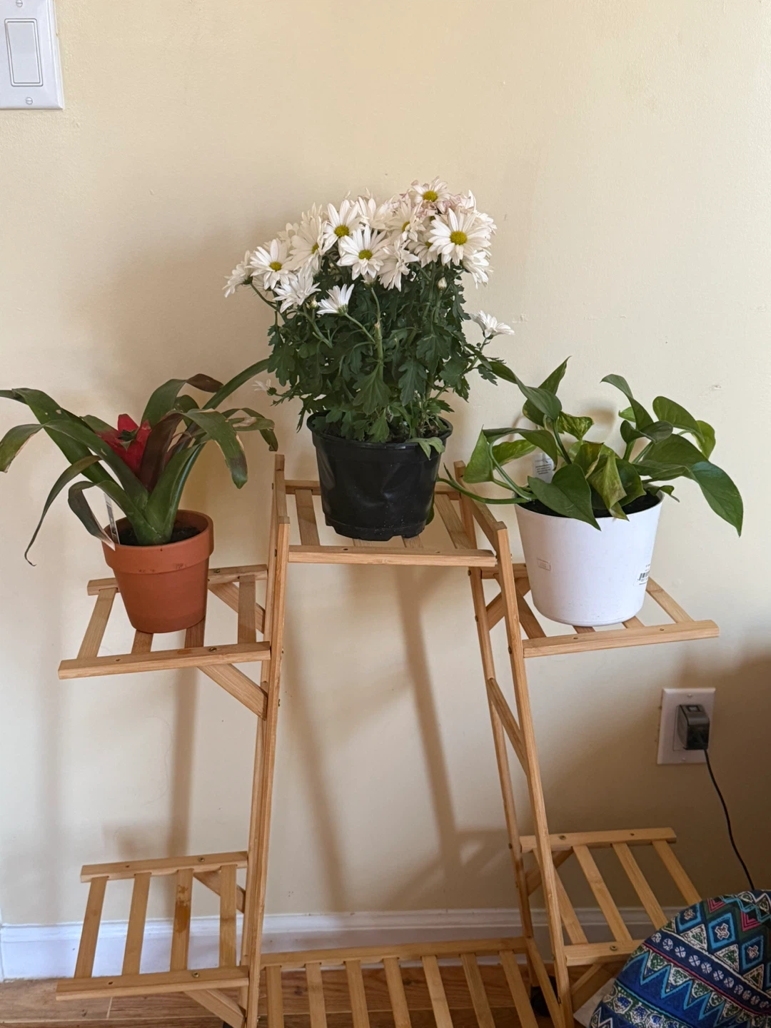 Bamboo Plant Stand