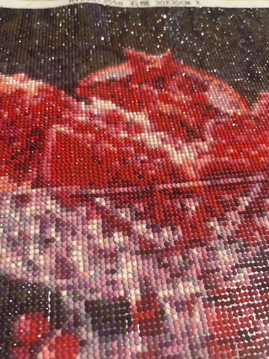 Diamond Art Pomegranate 30x30cm - photo 3