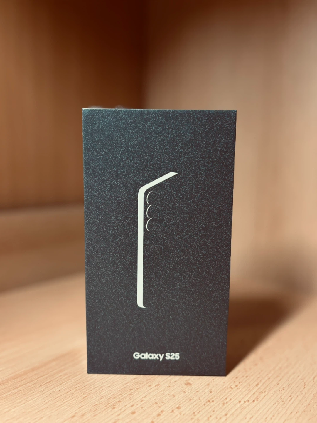 Sealed Samsung Galaxy S25 Silver Shadow 128GB