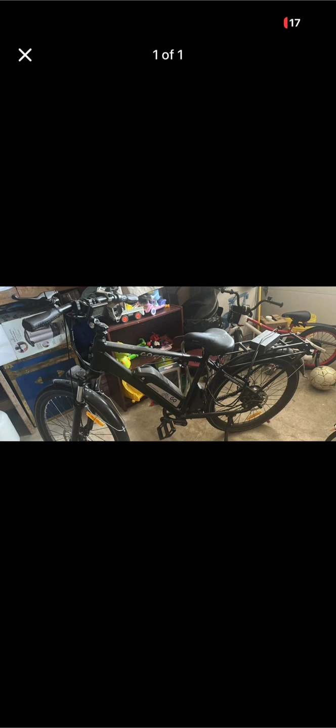 Go eagle Electric Bike