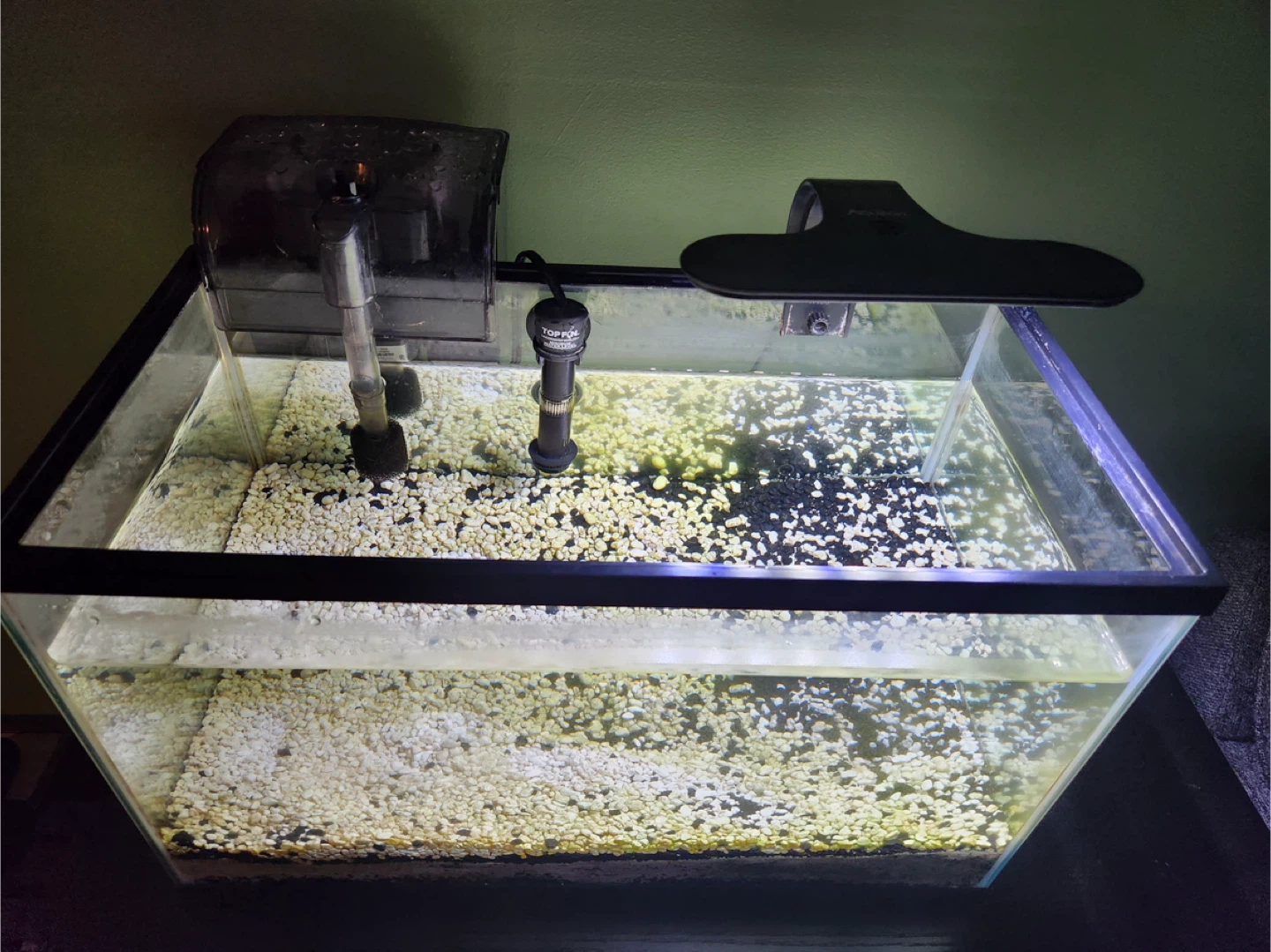 10 Gal Fish Tank with Accessories - photo 2