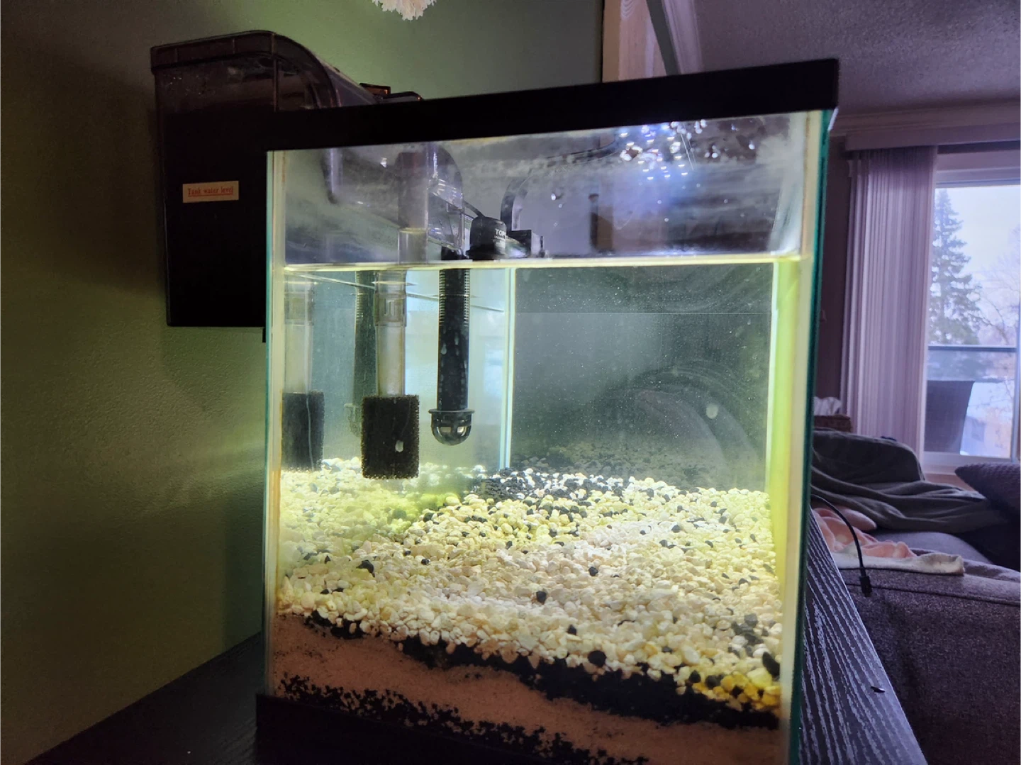 10 Gal Fish Tank with Accessories - photo 3
