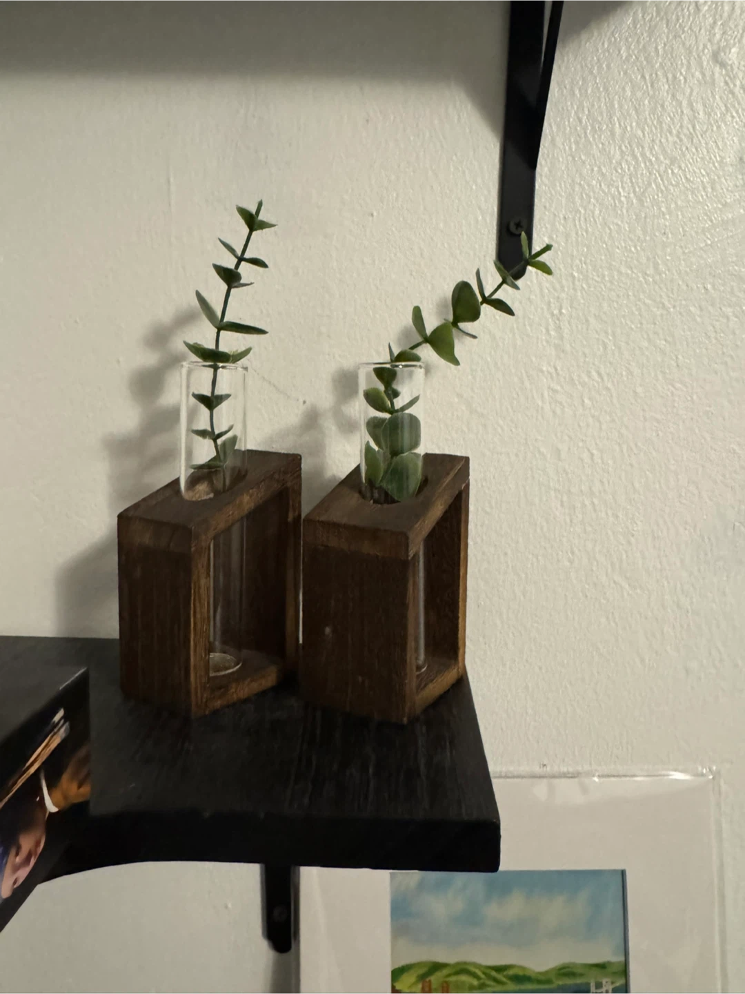 Test Tube Propagation Plant Station - photo 2