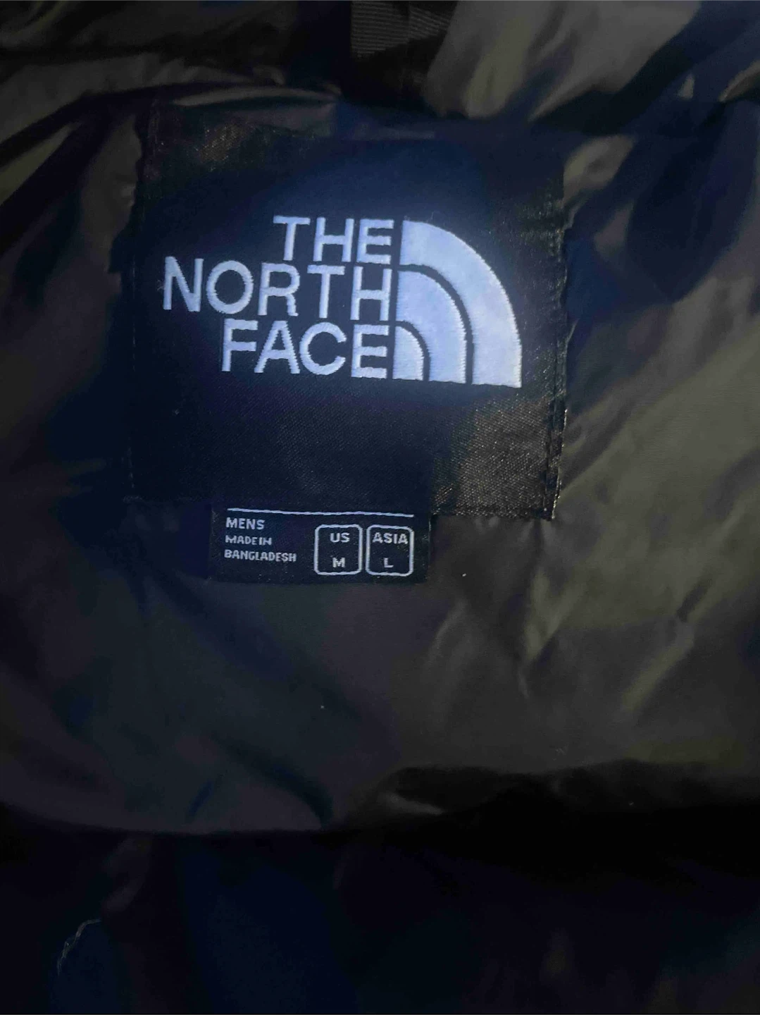 Men’s 1996 Retro Nuptse Jacket North Face Puffer 700 - photo 4
