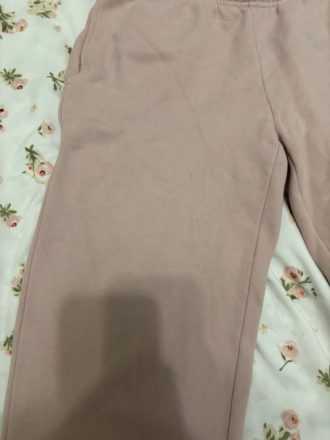 Aritzia Sweatfleece Cozy Fleece Mega Fit Pants - XS - photo 5