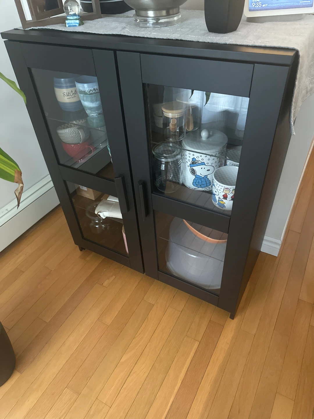 Black Glass Door Cabinet