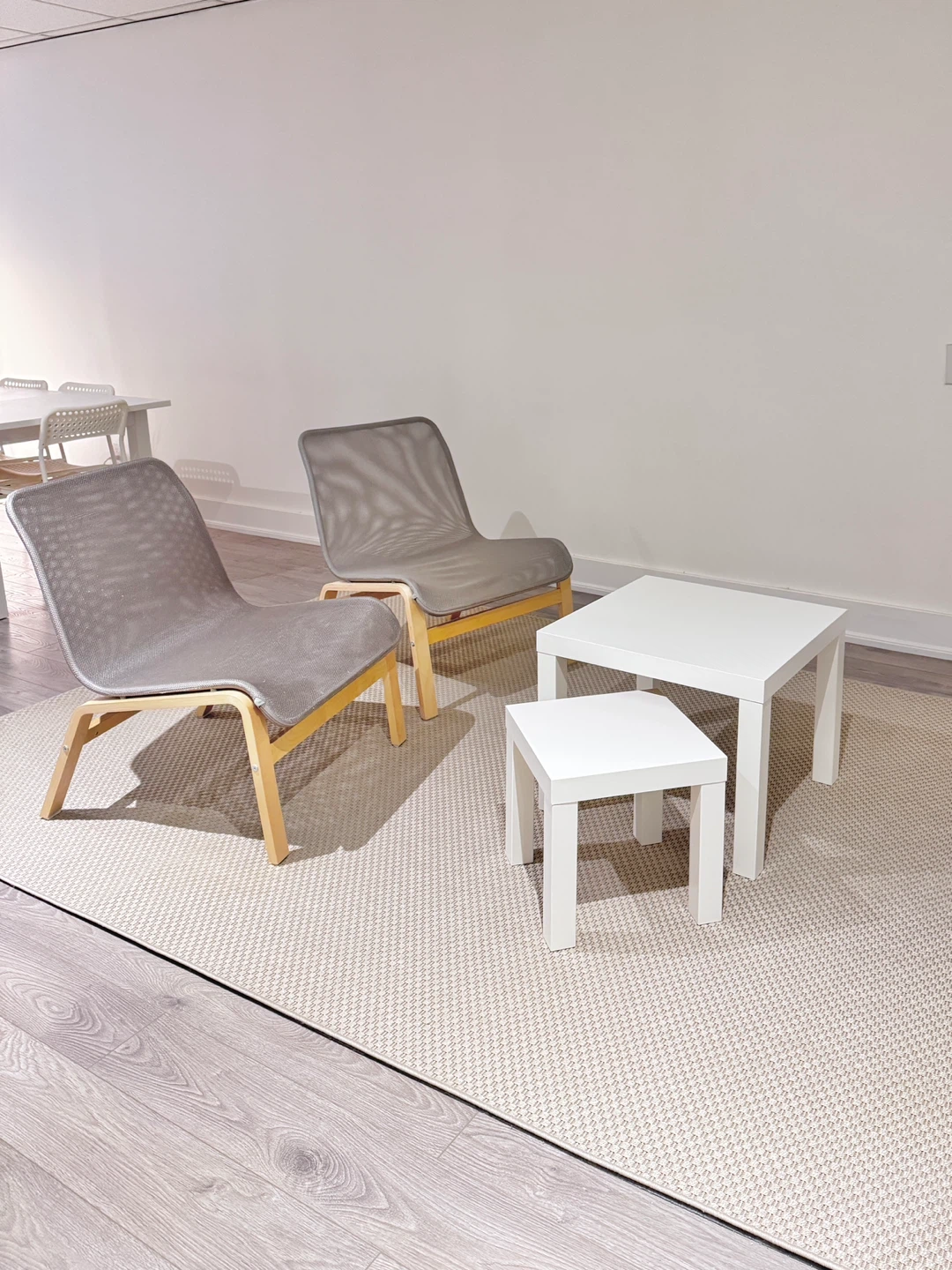 Rug Set (with anti-slip underlay)