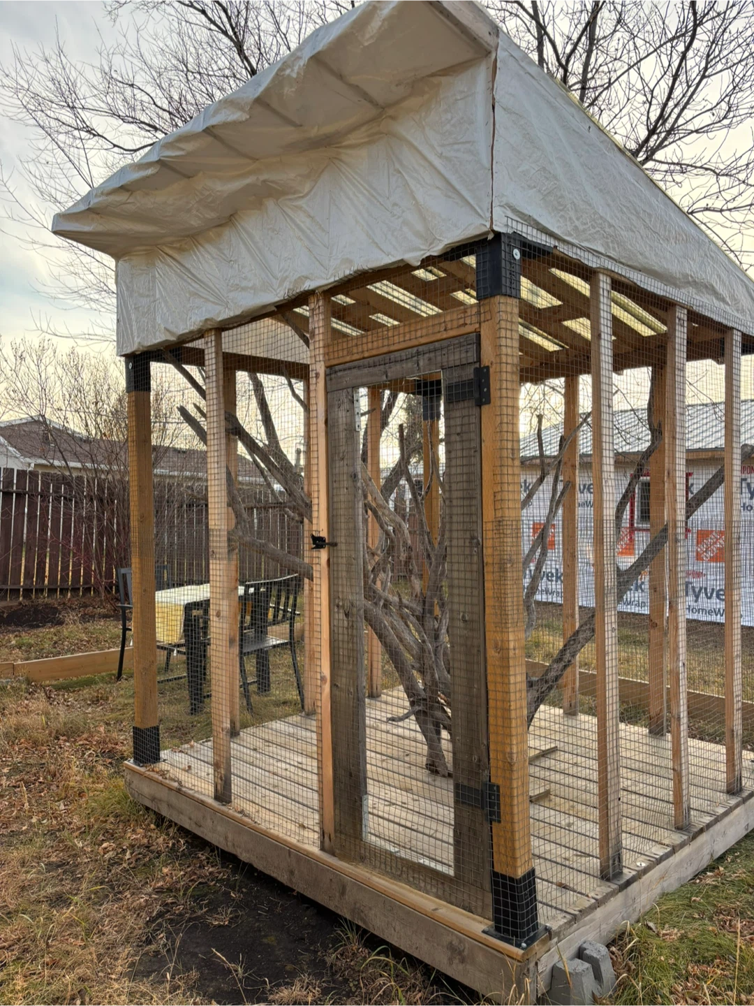 Outdoor Enclosure / Aviary - photo 3