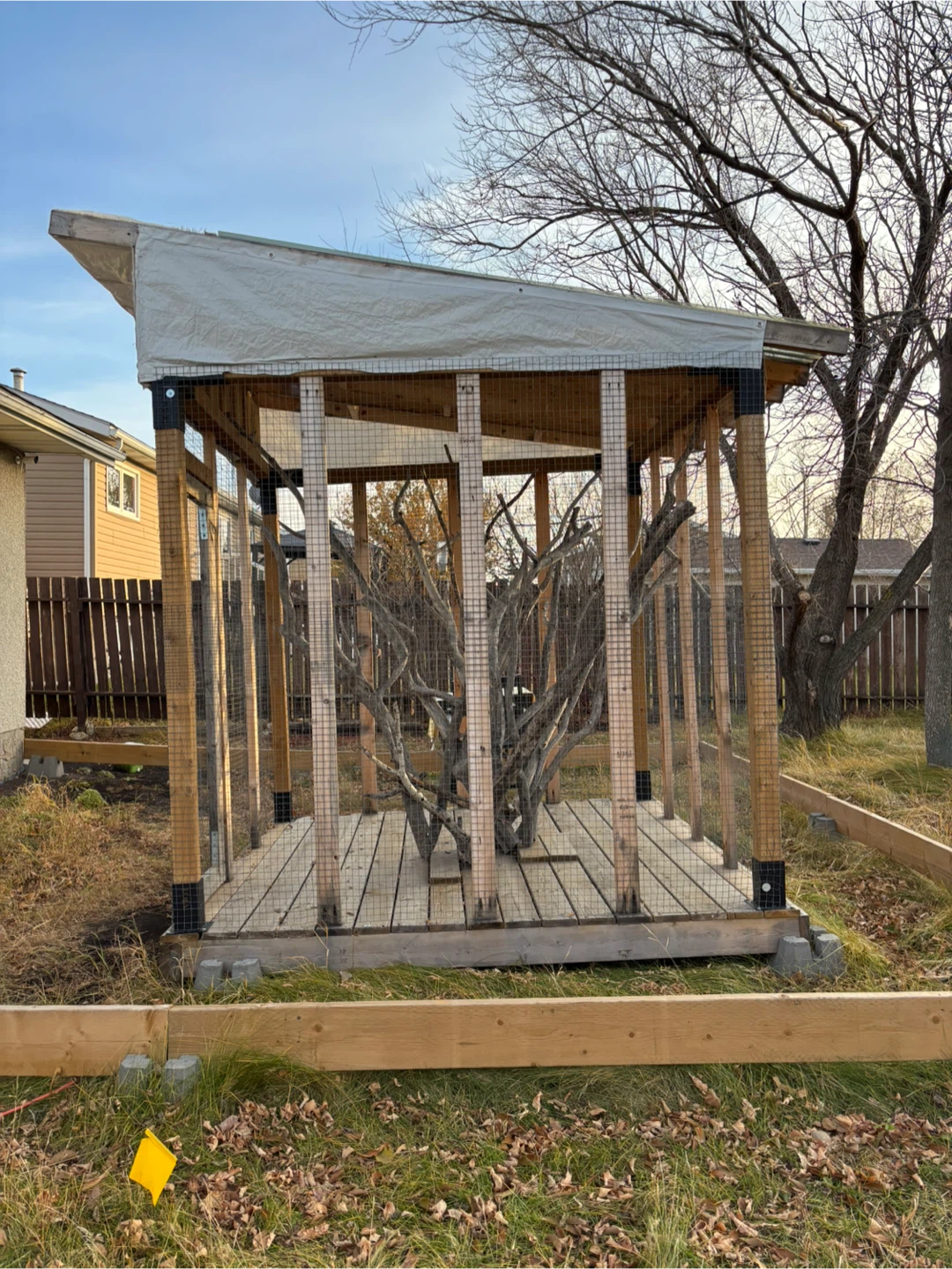Outdoor Enclosure / Aviary - photo 5