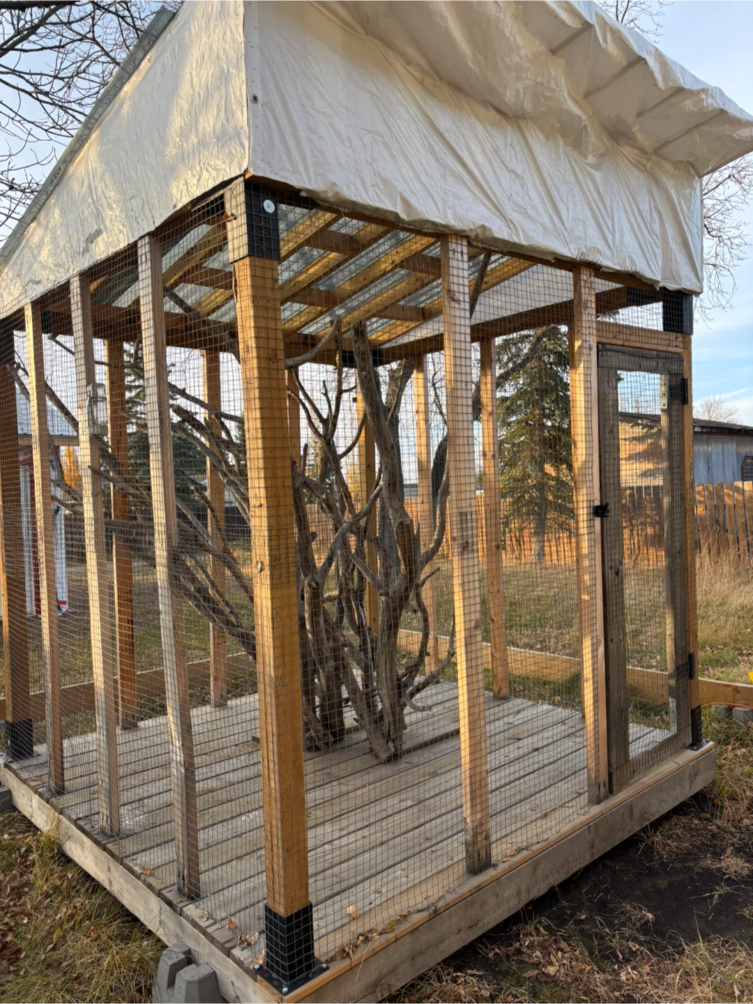 Outdoor Enclosure / Aviary - photo 4