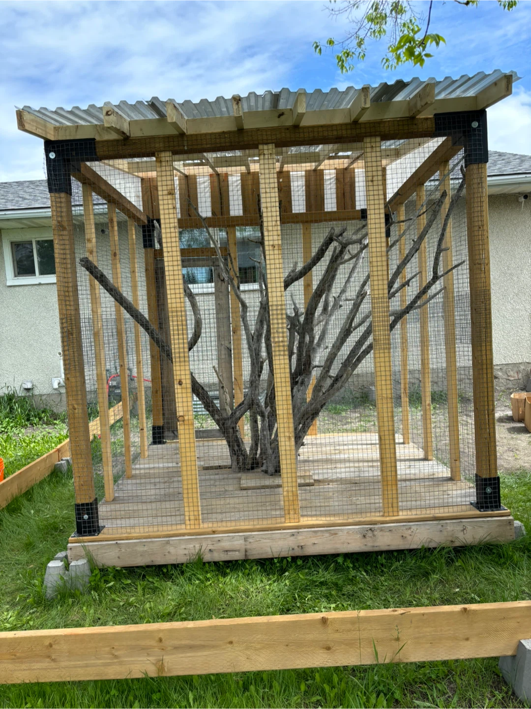 Outdoor Enclosure / Aviary - photo 2