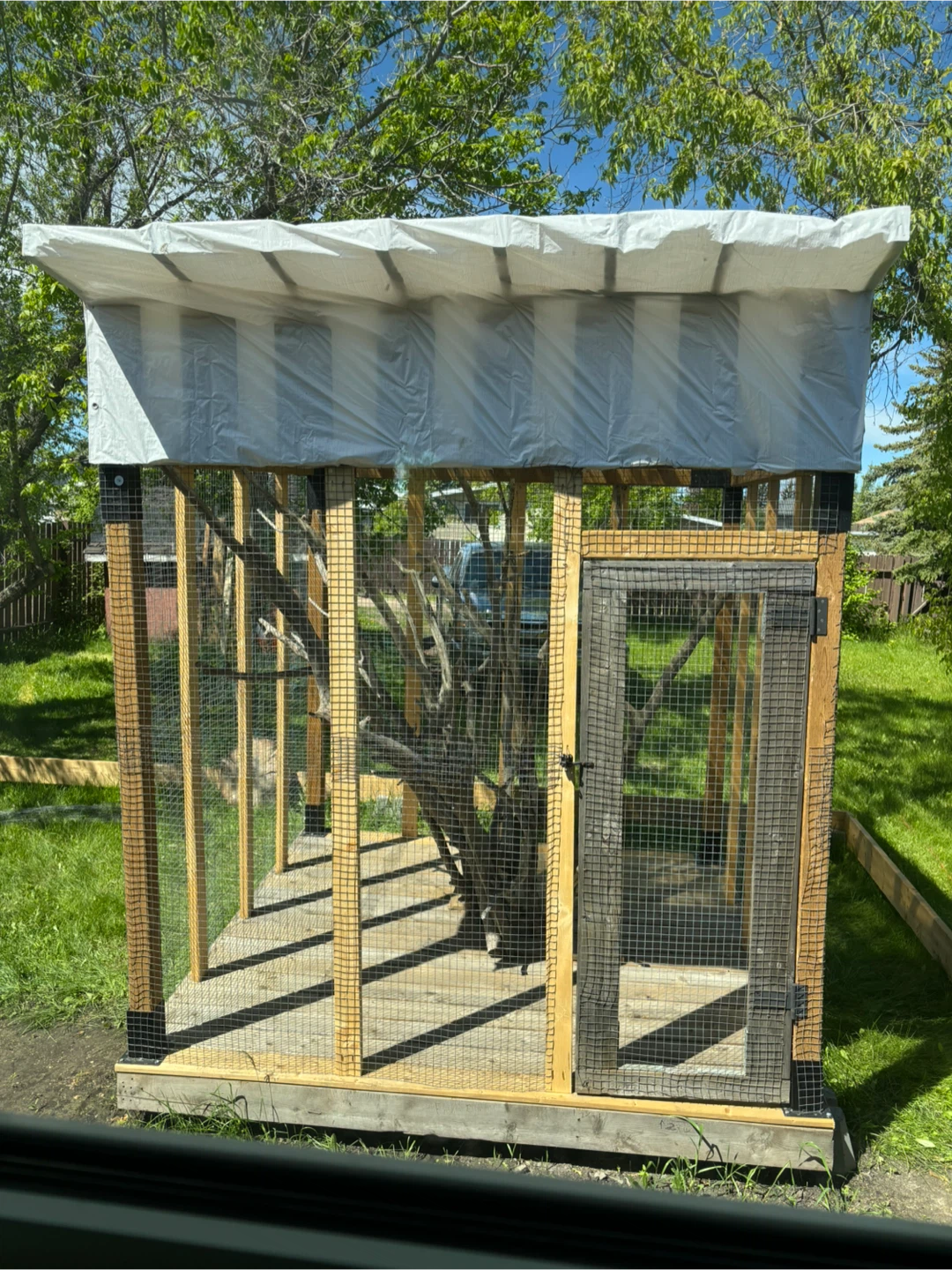 Outdoor Enclosure / Aviary