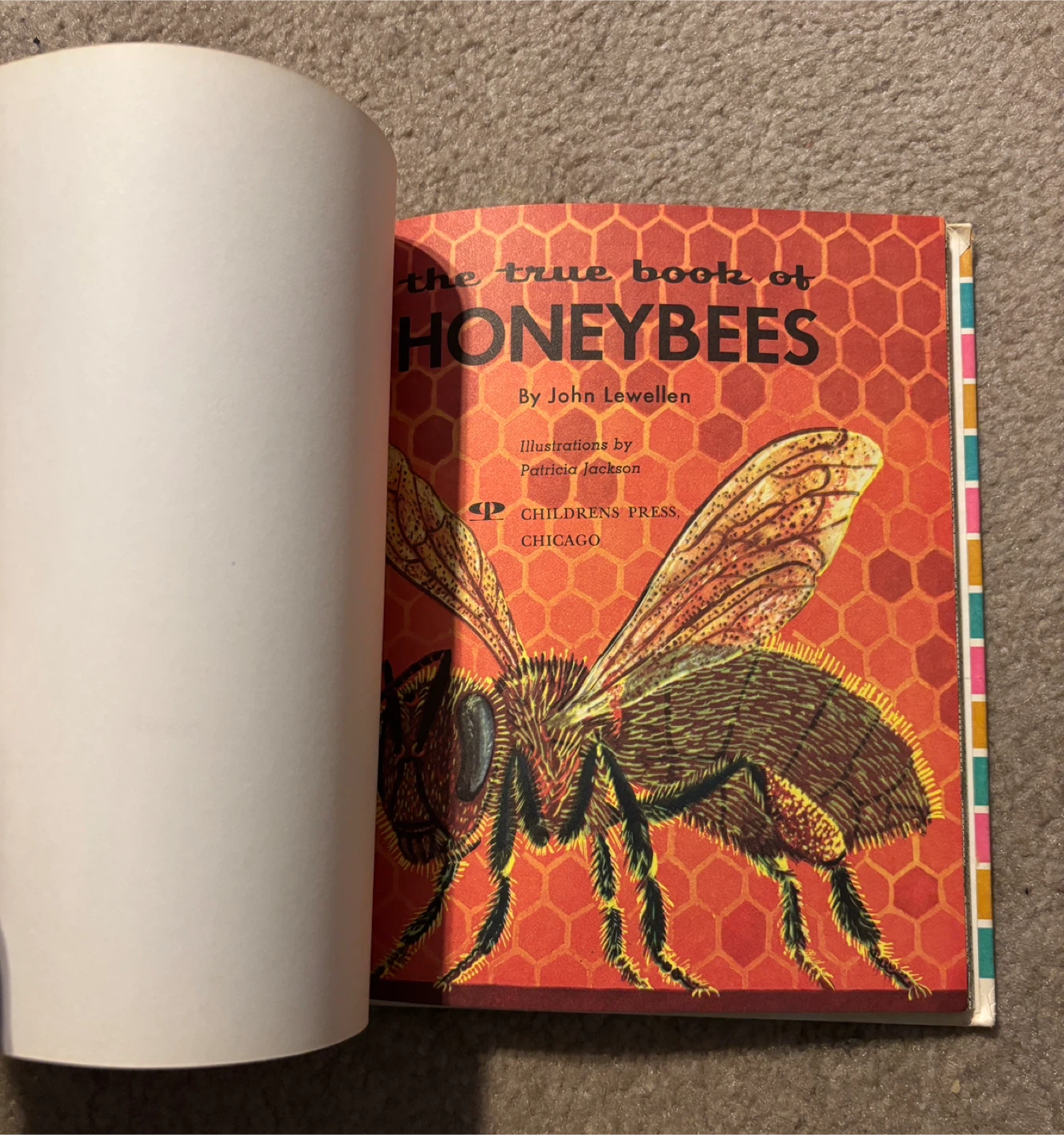 “I Want to Know About... “ Children's Books (16 volumes) - photo 3