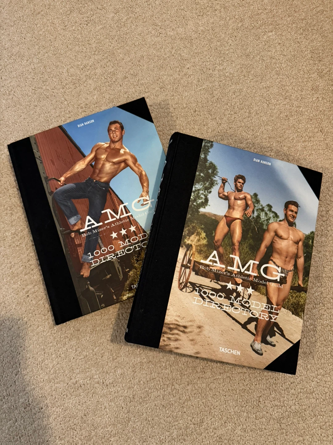 AMG 1000 Model Directory Book Set