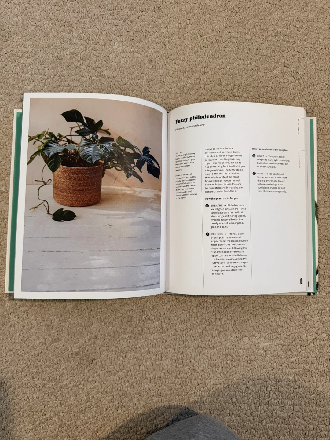 Plant Therapy by Dr. Katie Cooper - photo 2
