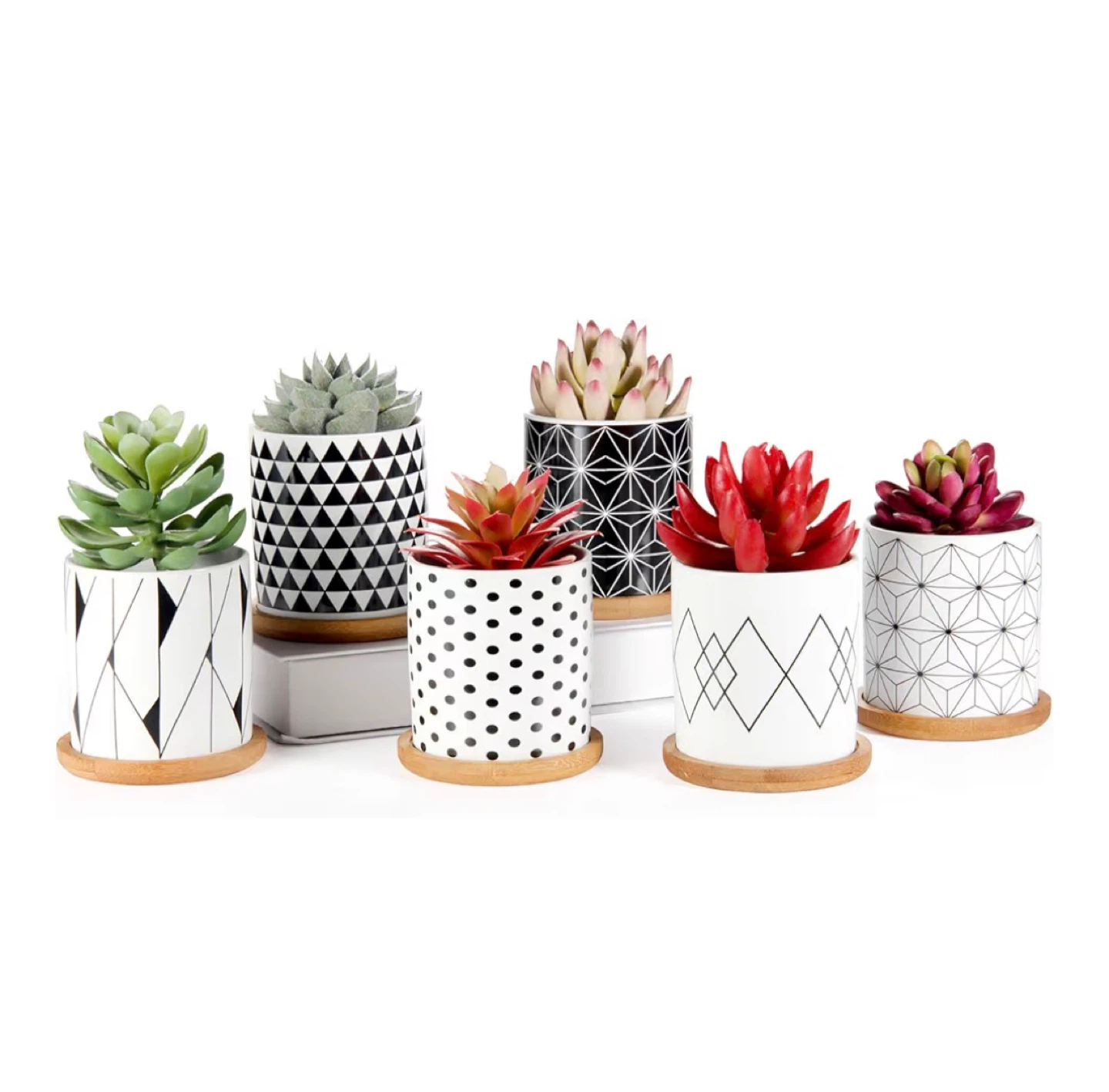 Set of 6 Decorative Plant Pots