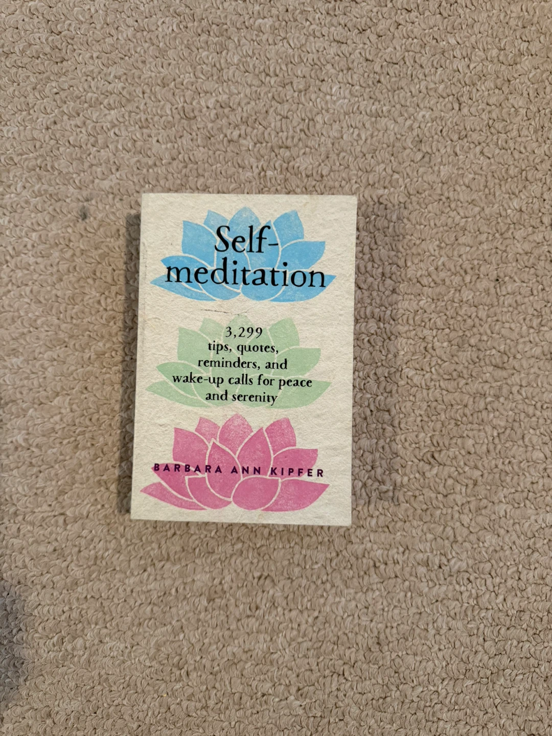 Self-Meditation by Barbara Ann Kipfer