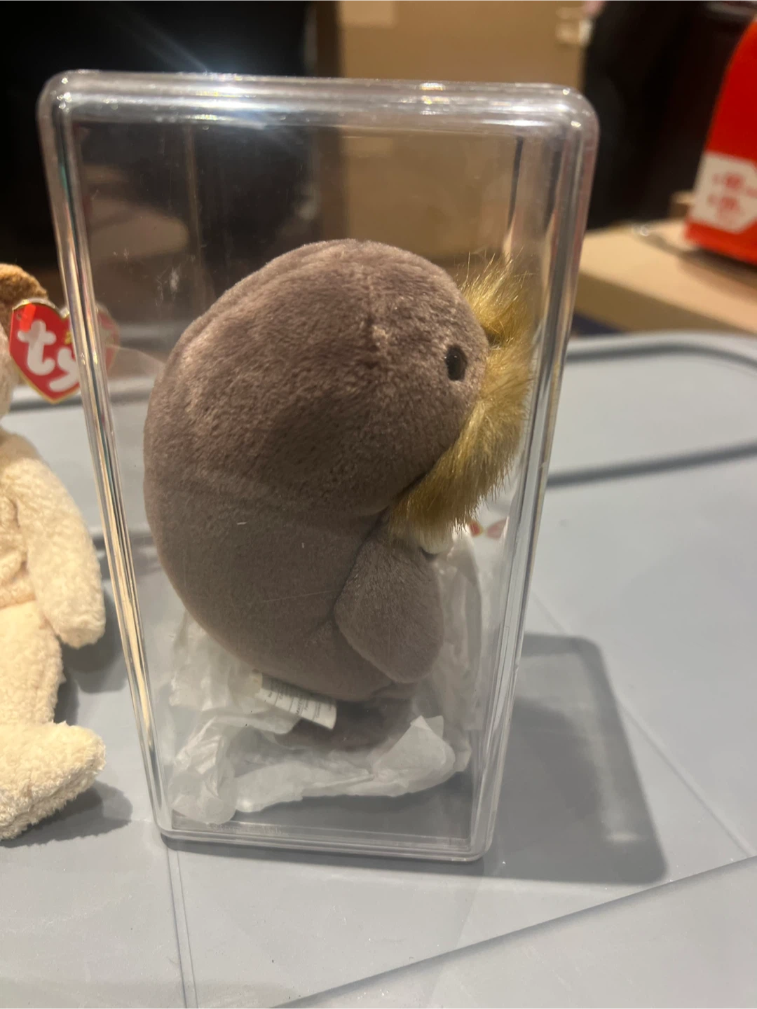 Ty Beanie Baby Jolly Walrus HIGHLY COLLECTIBLE - photo 2