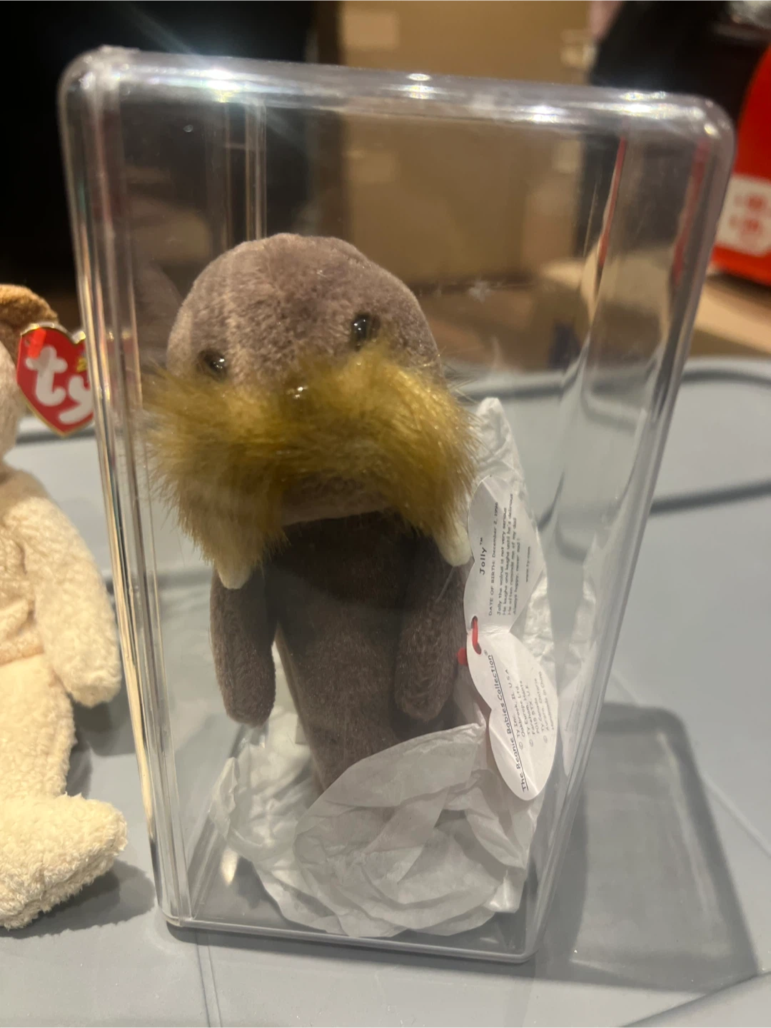 Ty Beanie Baby Jolly Walrus HIGHLY COLLECTIBLE