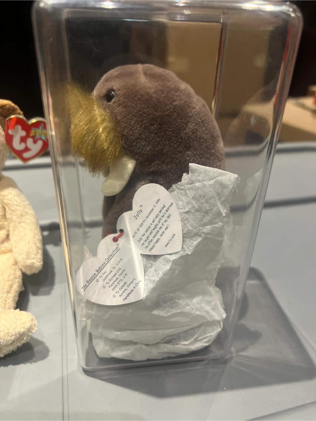 Ty Beanie Baby Jolly Walrus HIGHLY COLLECTIBLE - photo 3