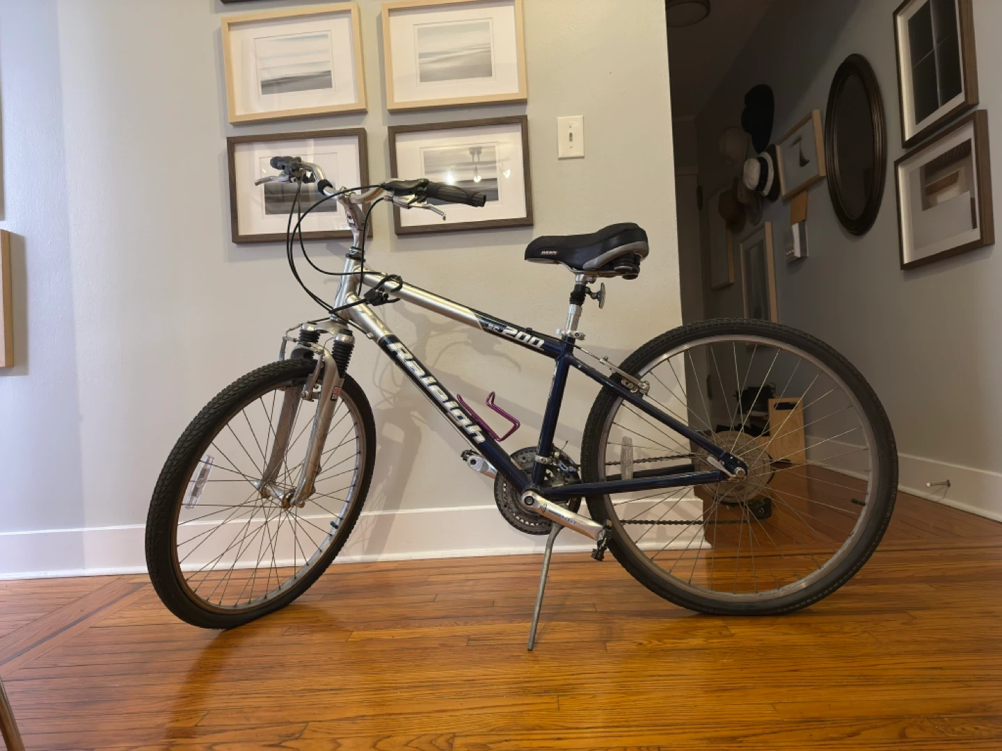 Raleigh 200 Bike