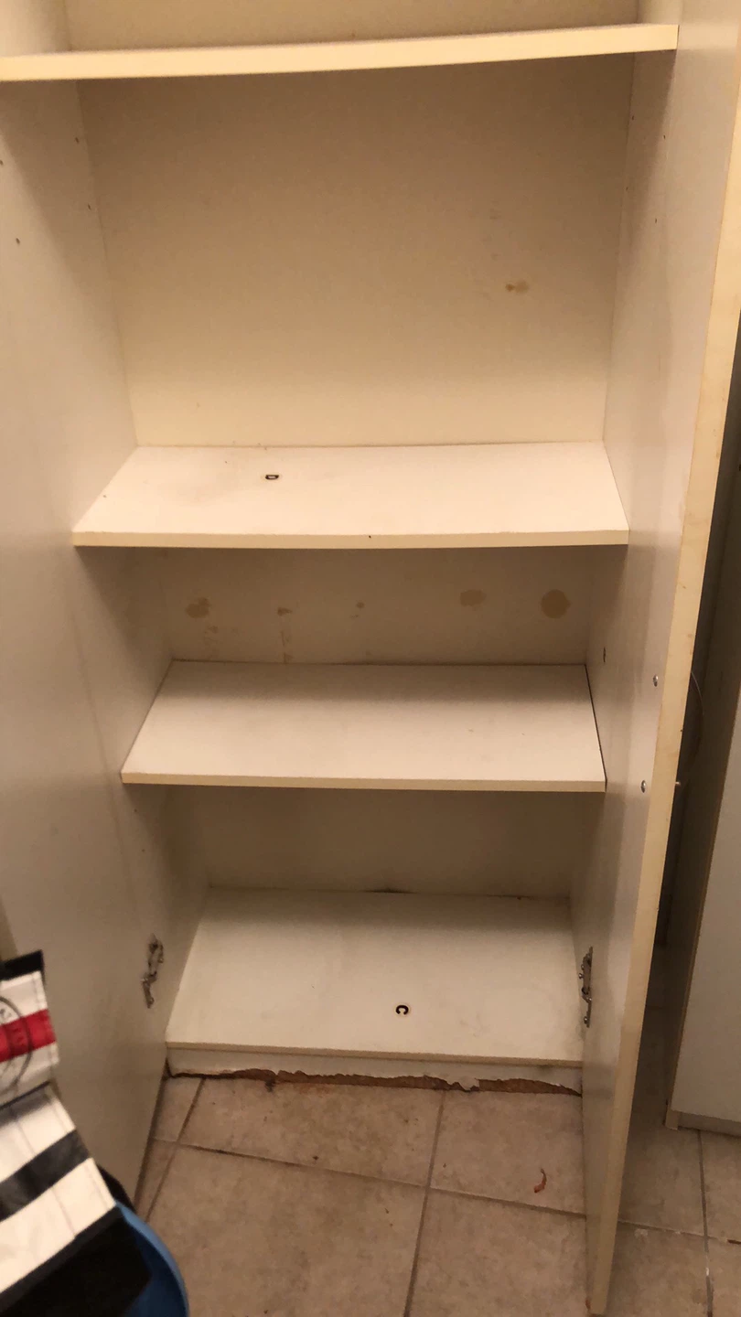 Cabinet with Shelves - photo 4