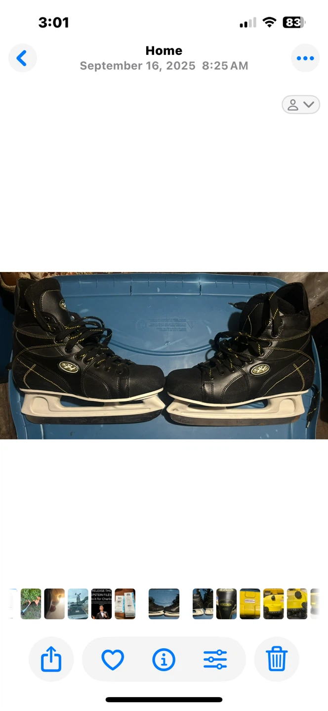 Hespeler Skates