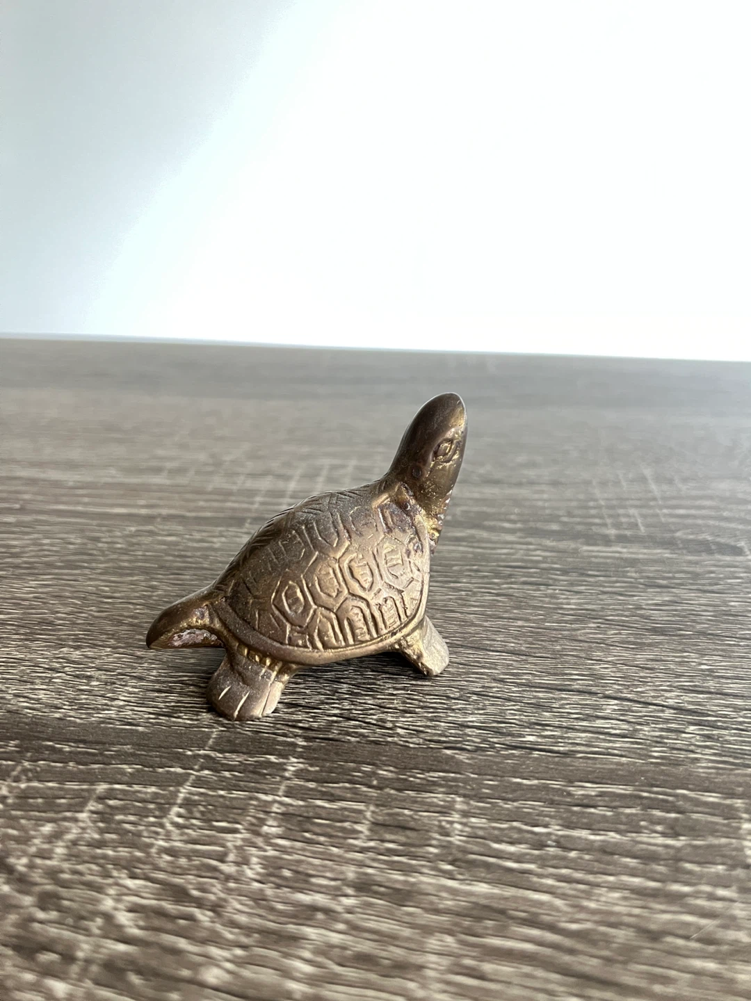 Brass Turtle Figurine