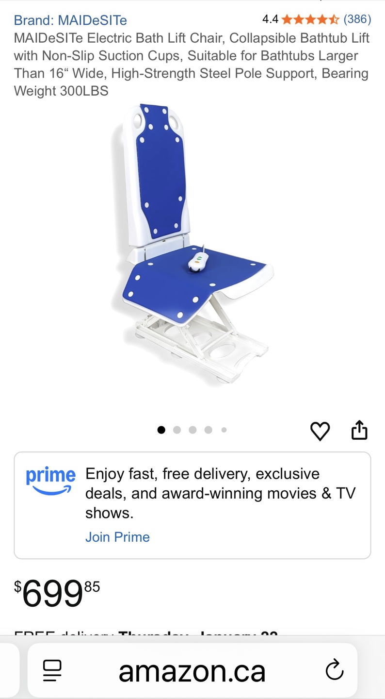 MAIDeSiTe Electric Bath Lift Chair