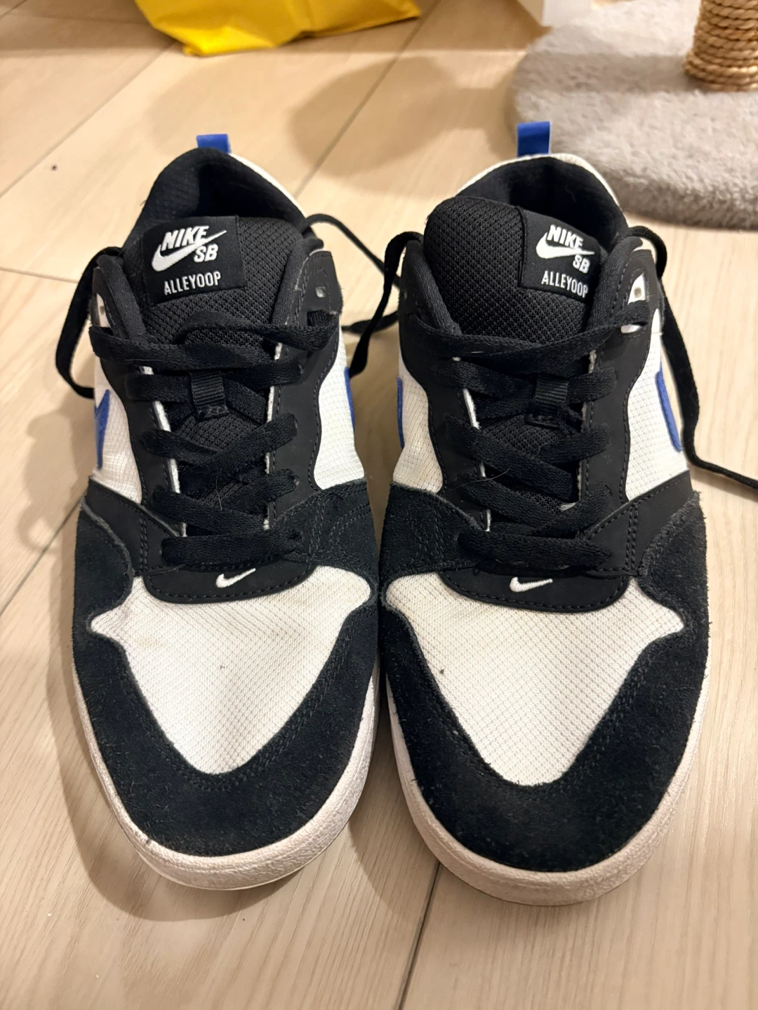 Nike SB Alleyoop Unisex