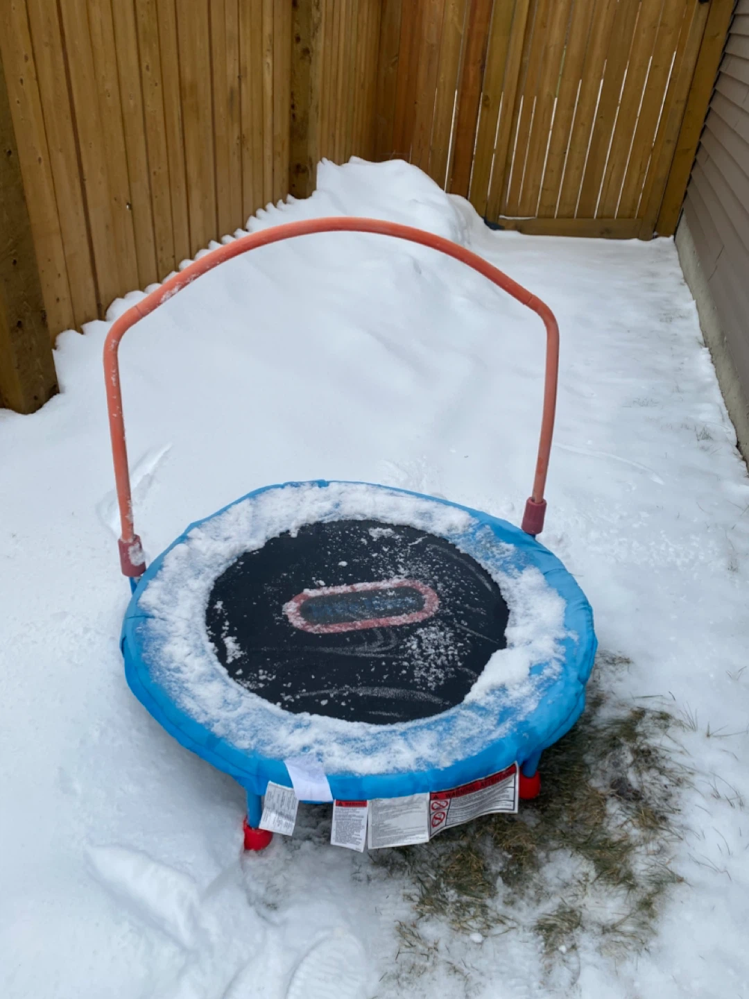 Little Trampoline