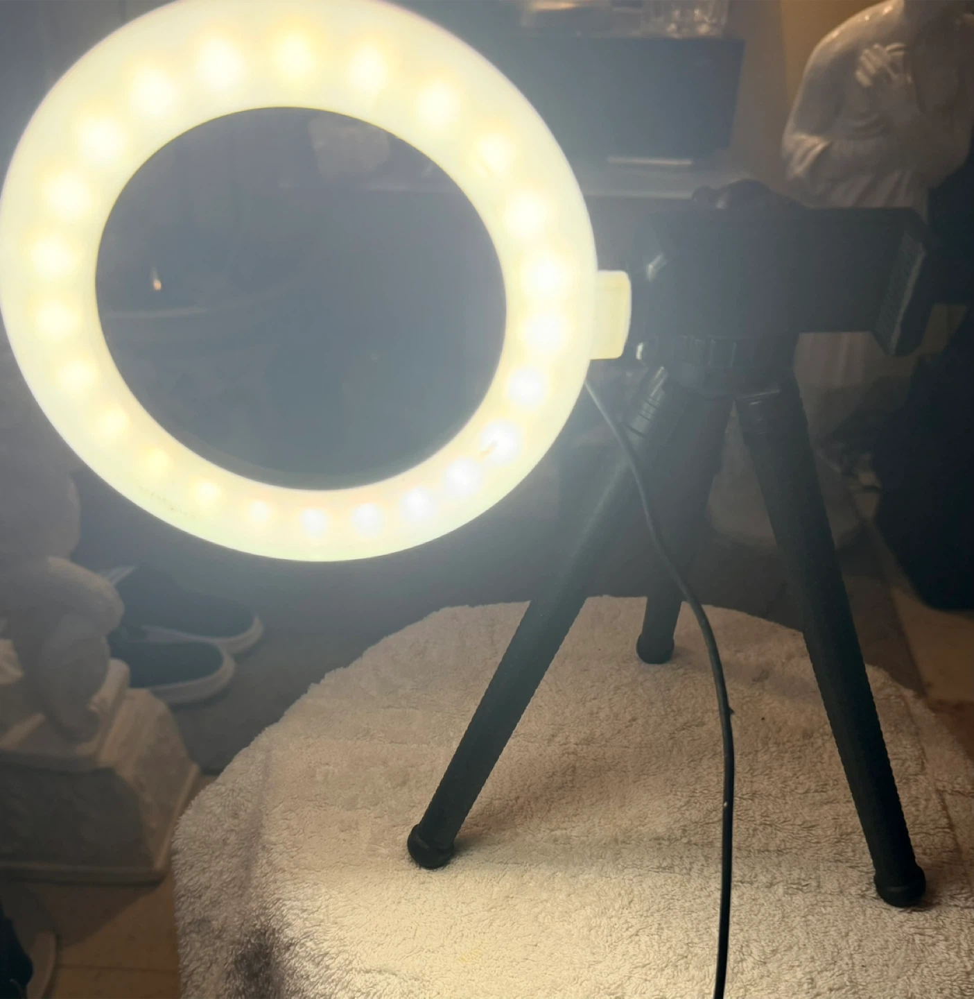 Ring Light with Tripod and Phone Holder