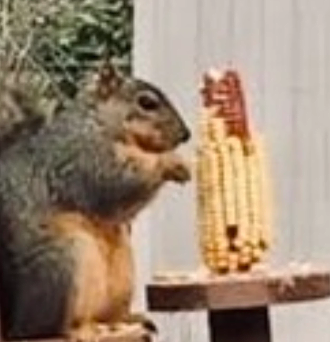 Rocking Chair Squirrel Feeder - photo 3
