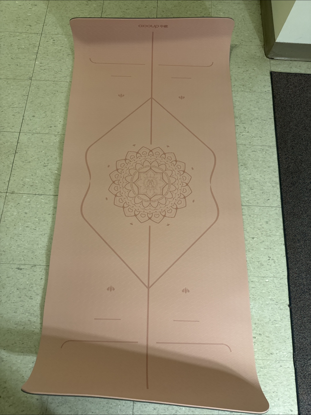 Yoga Mat with Alignment Lines - photo 2