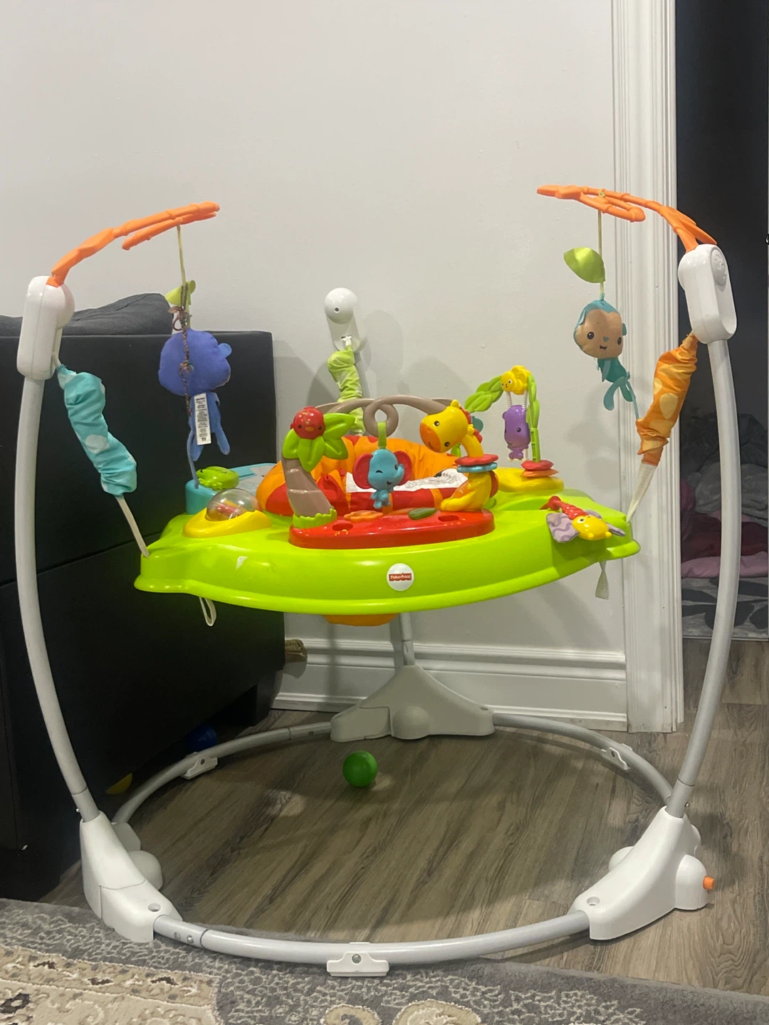 Fisher-Price Jumperoo
