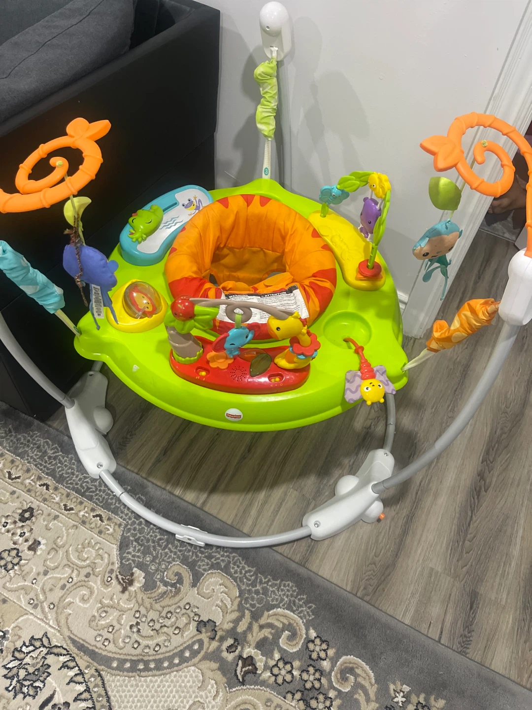Fisher-Price Jumperoo - photo 2