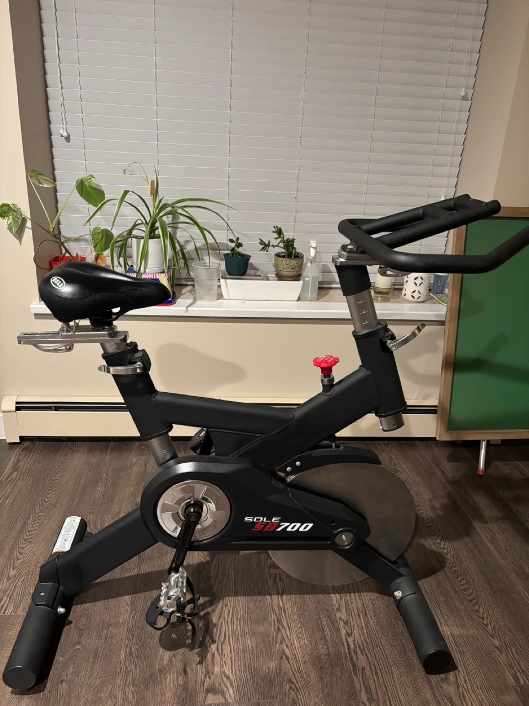 SOLE SB700 Indoor Exercise Bike