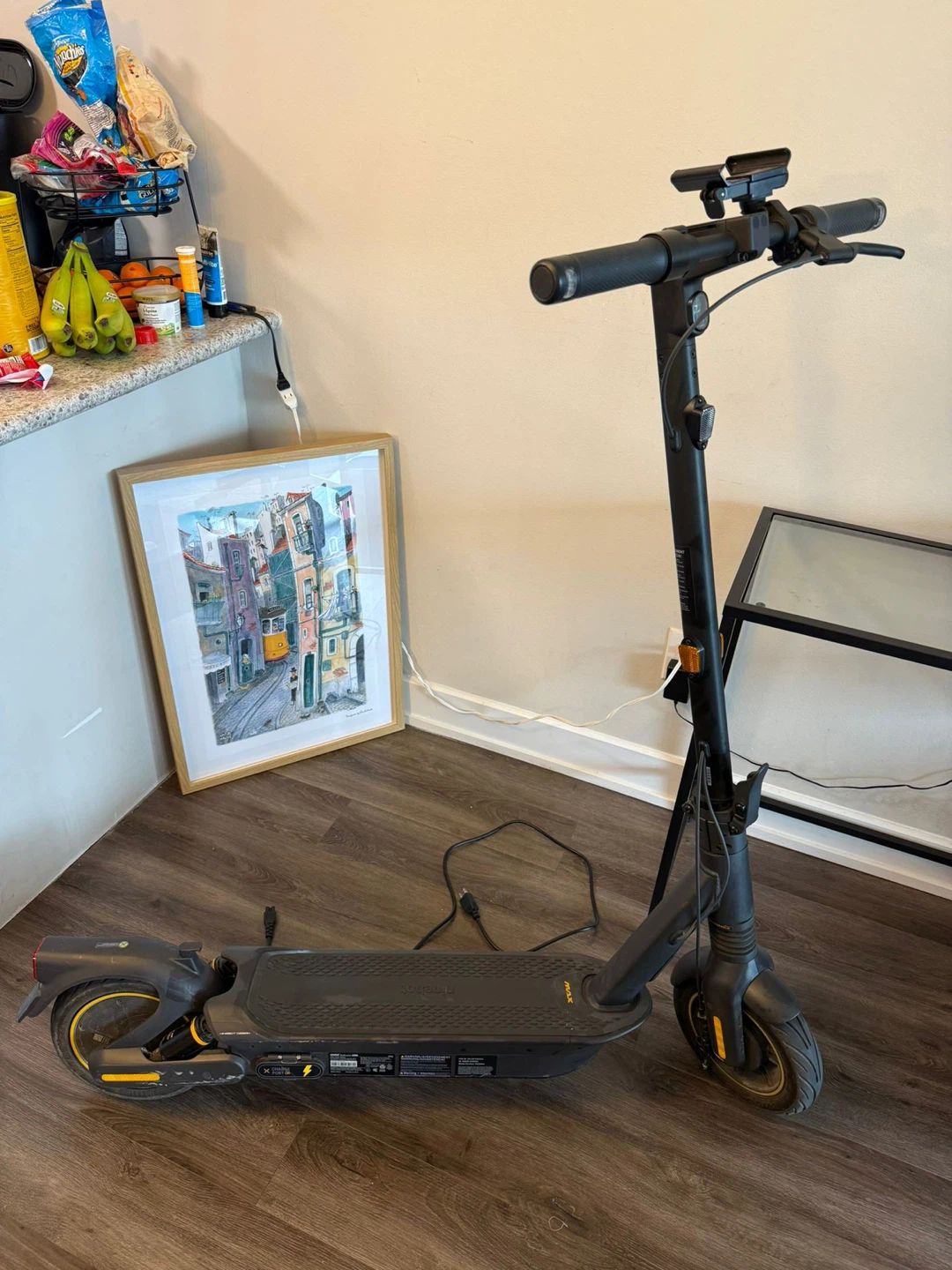 Ninebot Segway G2 Max