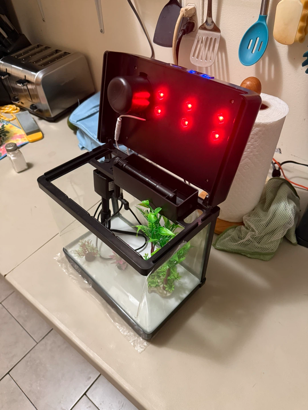 Small Black Aquarium with LED Lighting - photo 2