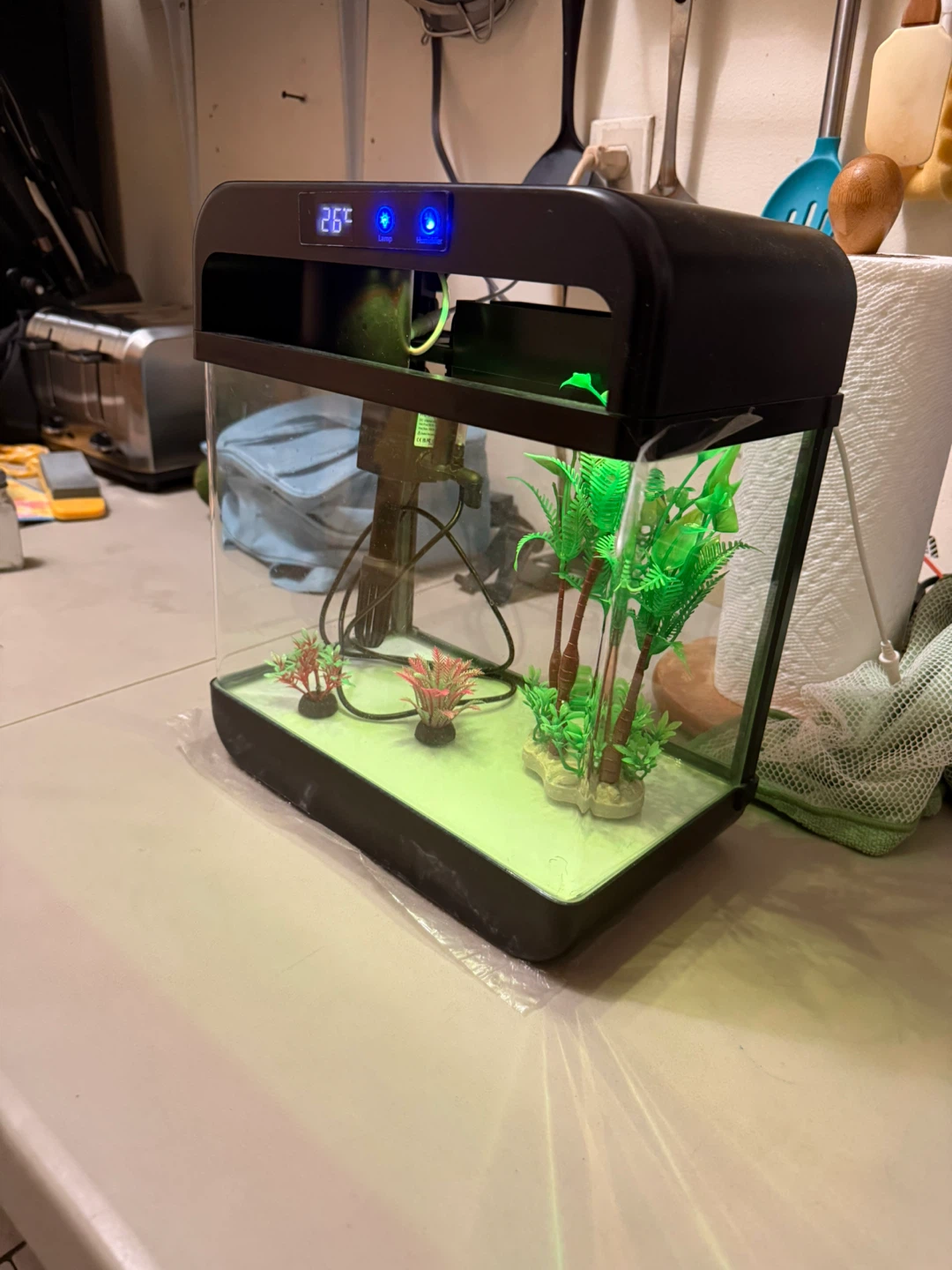 Small Black Aquarium with LED Lighting - photo 4