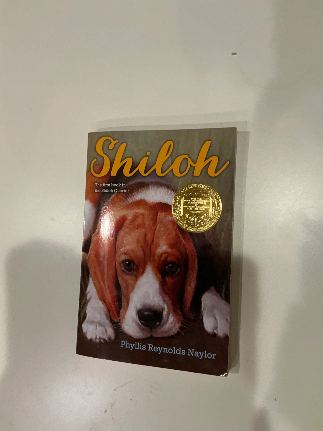 Shiloh by Phyllis Reynolds Naylor