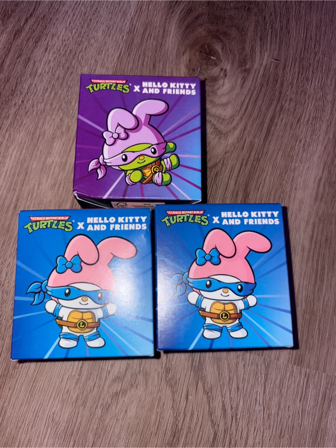 Teenage Mutant Ninja Turtles x Hello Kitty and Friends