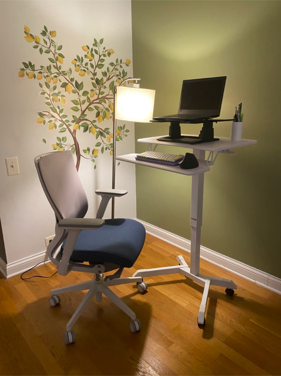 Autonomous ErgoChair 2 , Standing Desk & Floor Lamp